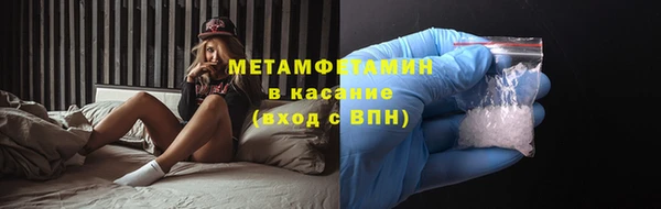 индика Белая Холуница