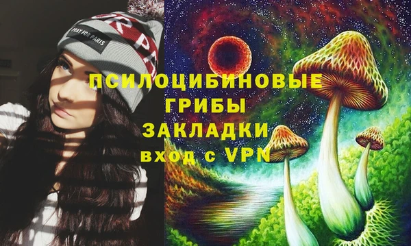 соль курить ск Алзамай