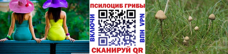 KRAKEN ссылки Ахтубинск Псилоцибиновые грибы GOLDEN TEACHER